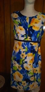 A perfect summer/Easter/business casual dress